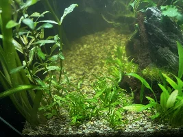 My 60L Cube