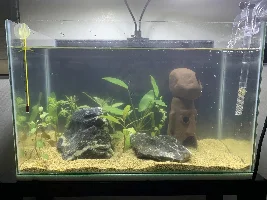 need help decorating tank.