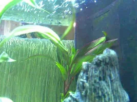 What Am I Doing Wrong?