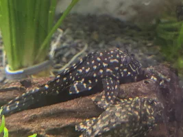 Hi!