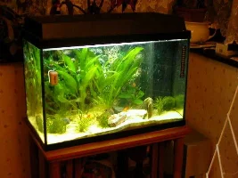 Yay new tank