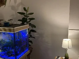 Aqua One Fish Tank + Filter + Light + Ornaments extras