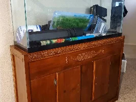 Vote Now! - February 2021 Tank of the Month (31 Gallons and larger)