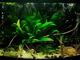 My Managerie of Tanks