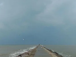 Phone Photography