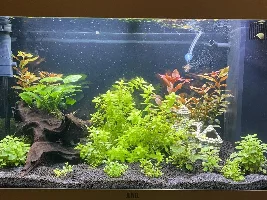 eicca joins the hobby and the forums
