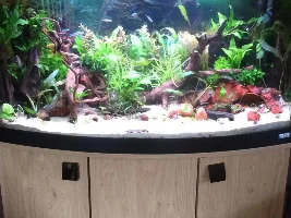 Leaking Tank Leads To New Beginnings