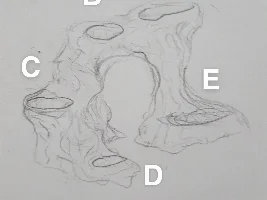 Tank idea step 1