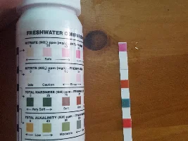 Not sure how to fix my water issues