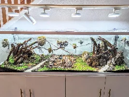 Update on the avatar tank. Water fall up and running. :)