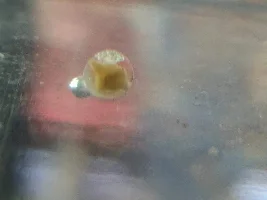 What is this??
