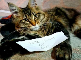 VOTE NOW - January 2025 Pet of the Month Contest