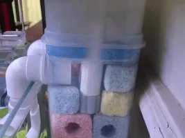 Slow fishless cycle