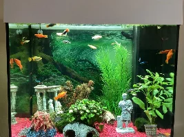 My Tank Juwel Lido 120 (26 UK gal)