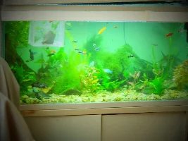 Finally tearing down ugly 57g, building new 36g to replace it!