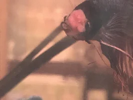 Help My Poor Fish :(