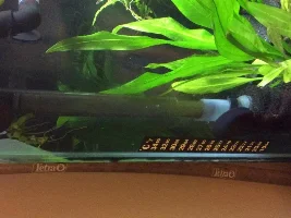 Shortening Filter Inlet