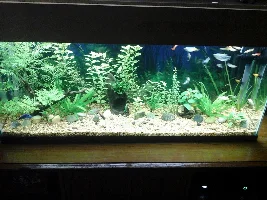 What type of lighting?