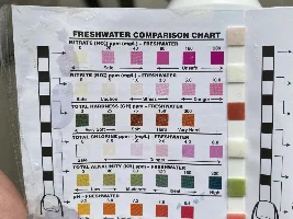 My city water got harder, so driftwood recommendations?