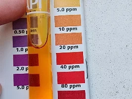 Algae problems
