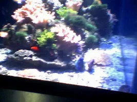 My trip to Underwater World!!!