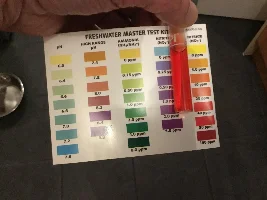 Need a little help