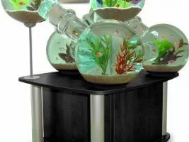 Weird Betta Tanks?
