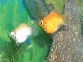 Best Friends!