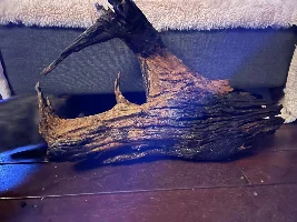Deck build