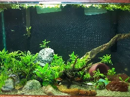 My Managerie of Tanks
