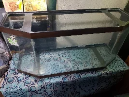 30 Gallon Flatback Hex, Freshwater