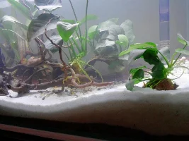 A 60Litre Named.. Aquapit..