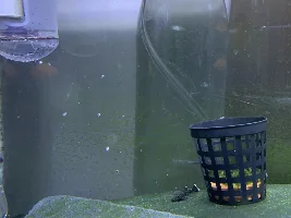 First attempt at DIY CO2