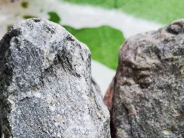 Rocks from beach.. are these safe?