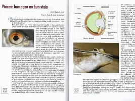 Fish eye color...