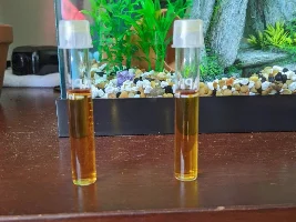 A bit of nitrite, should I do anything different?