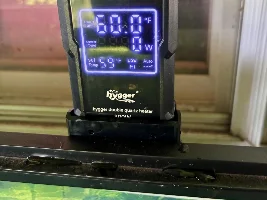 3 season porch tank with native fish…