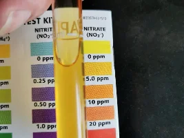 Test kits API/Ntlabs help