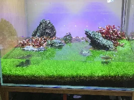 Zikofski new tank 110L / 24G