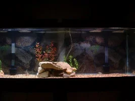 My Tank