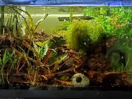 Help with adjusting kh and gh