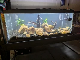 20 Long With High Flow