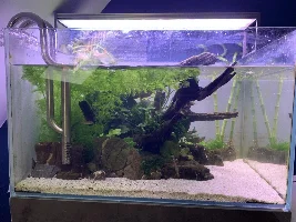 Aquascaper 600