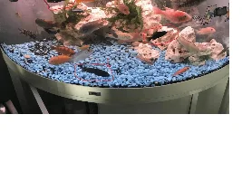 Changing my ugly blue gravel to black sand!