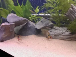 170L, Gotta Start Somewhere