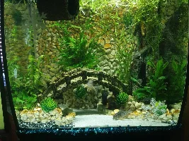 First time fertilising my plants