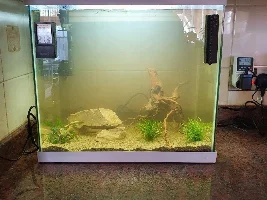 My second (small) tank