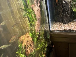 Alternative to Heater Suction Cups