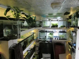 Show me your fishroom