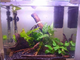 35L Rescaped Ready For My Badis (Again Inspired By Wills)